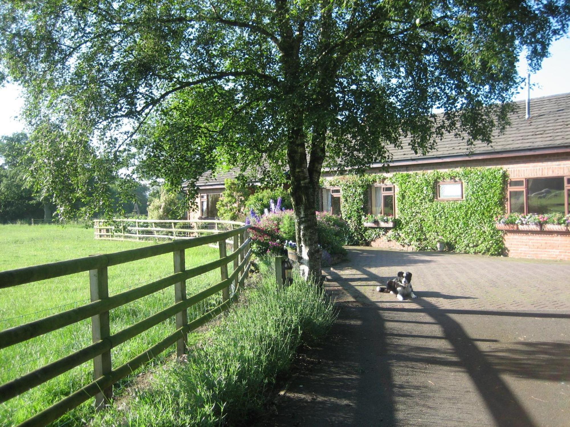 Ladderstile Retreat Bed & Breakfast Congleton Exterior photo